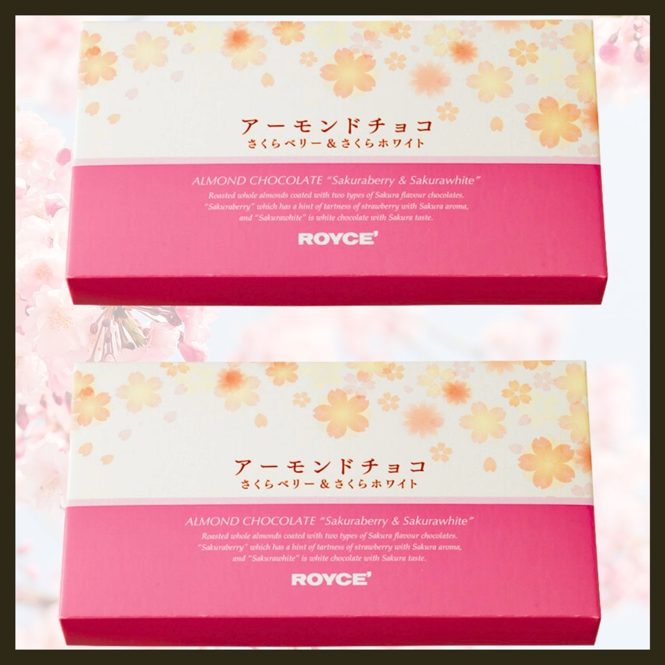 Delicate Seasonal Cherry Blossoms Almond Chocolate Sakura - ROYCE - JapanHapiness