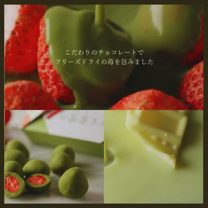 JP Kyoto Ito Kyuemon Uji Matcha Strawberry Chocolate Truffle - JapanHapiness